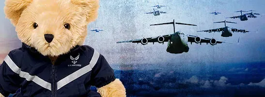 Shop Air Force Bears